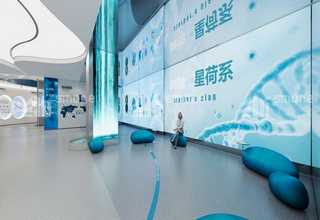 上海医用干式热敏胶片尺寸