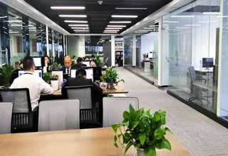 河南2205精密管品牌