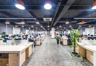 泉港页岩多孔砖生产厂家