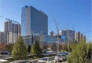 山东C308/309P视觉数粒机可量尺定做