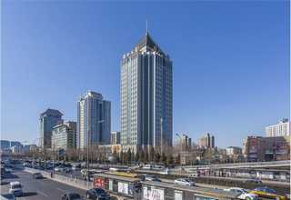 浙江哪里有保健枕市场价格